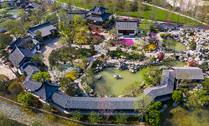 江苏园博园未来花园机电项目植物园、崖壁剧院